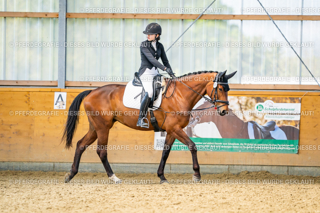 DSC03529 | Pferdegrafie