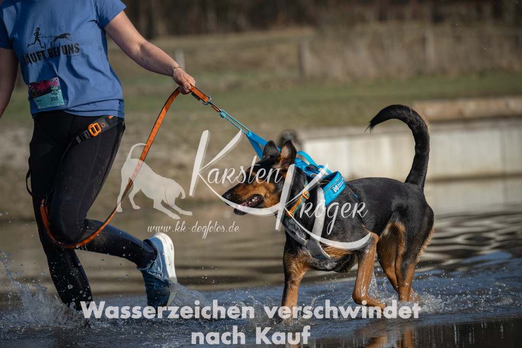 1531_ZZ91791 | kk-dogfotos