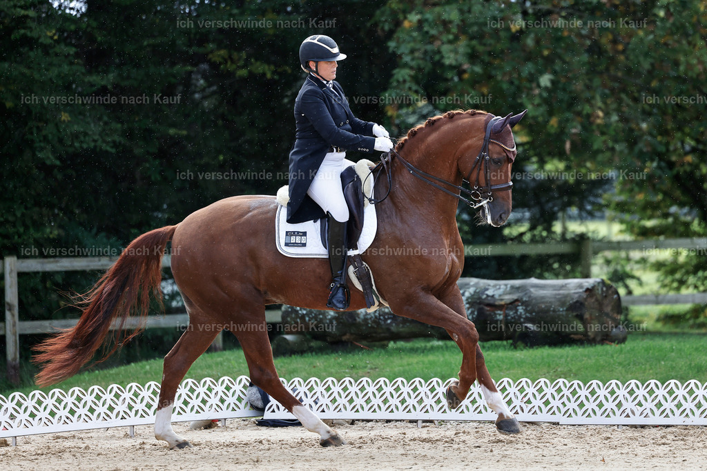 10-230-ST.GEORG SPECIAL -StoibPH-3170 | working equitationturnier fotograf videograf stoibphotography marixx film working equitation deutschland reitsport turnierfotografie eventfotografie equestrian events