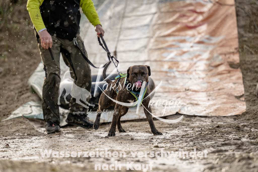 1700_ZZ90338 | kk-dogfotos