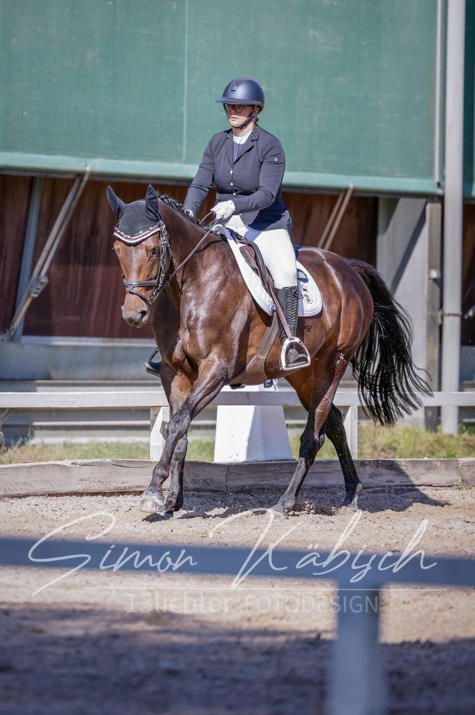 20250906-_3LI3636 | Tierfotografie Pferde, Hunde, Katzen, Haustiere.
Turnierfotografie Reitturniere, Reiten, Springreiten, Dressur in Hanau, dem Main-Kinzig-Kreis und dem Rhein-Main- Gebiet um Frankfurt