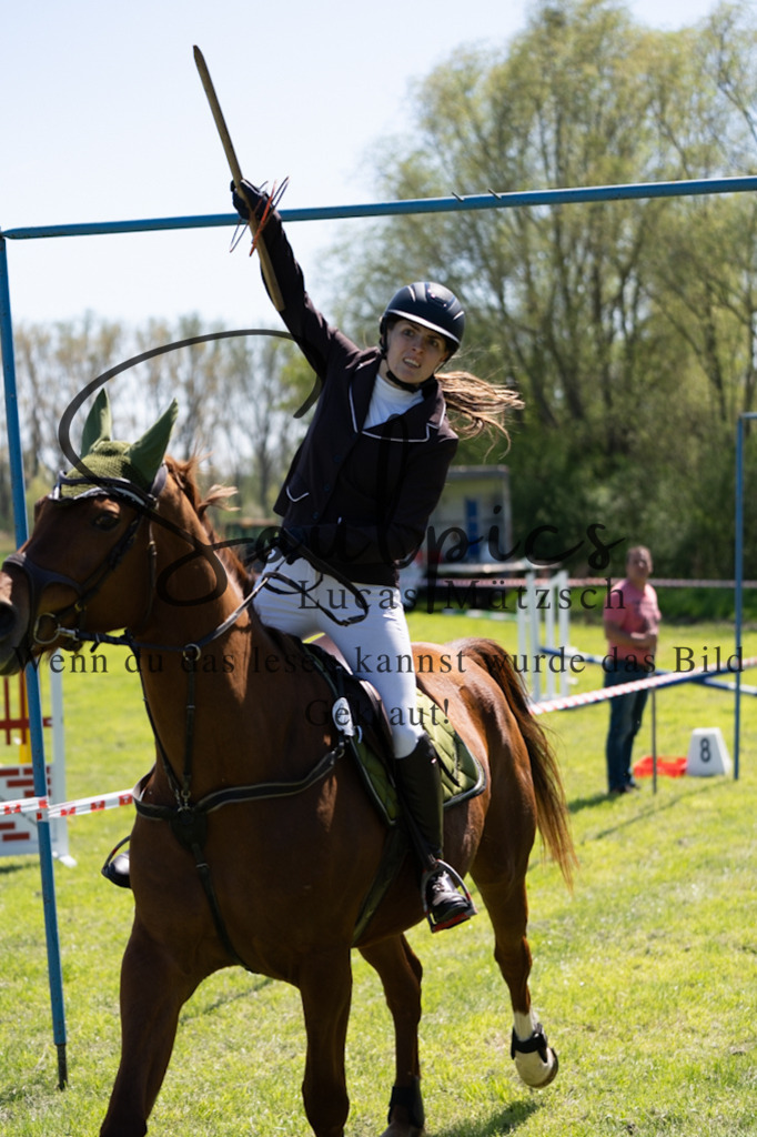 A7V01118 | Pferdefotograf