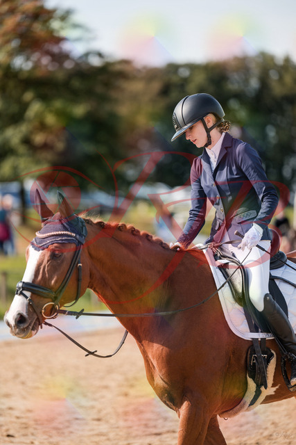 2026_10_03_Siefer-Hof_123813_Z63_56137813 | Professionelle Reitsport-, Turnier- und Eventfotografie von Robert Broda. Galerien mit ausgewählten und bearbeiteten Bildern direkt online ansehen und bestellen.