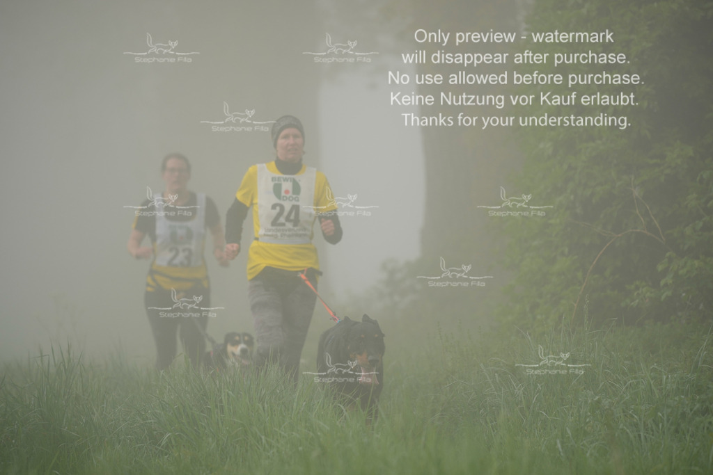 SA_GL2-122 | stephaniefillaphotographie - Realisiert mit Pictrs.com