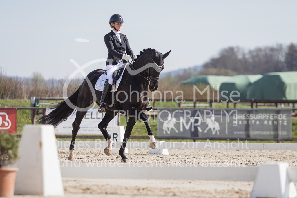 230410_Frühlingsfest_Dressurpf-M-101 | Deine schönsten Turniermomente als professionelle Fotos! Entdecke hochwertige Pferdesport-Fotografie im Online-Shop. Jetzt Fotos finden & bestellen!