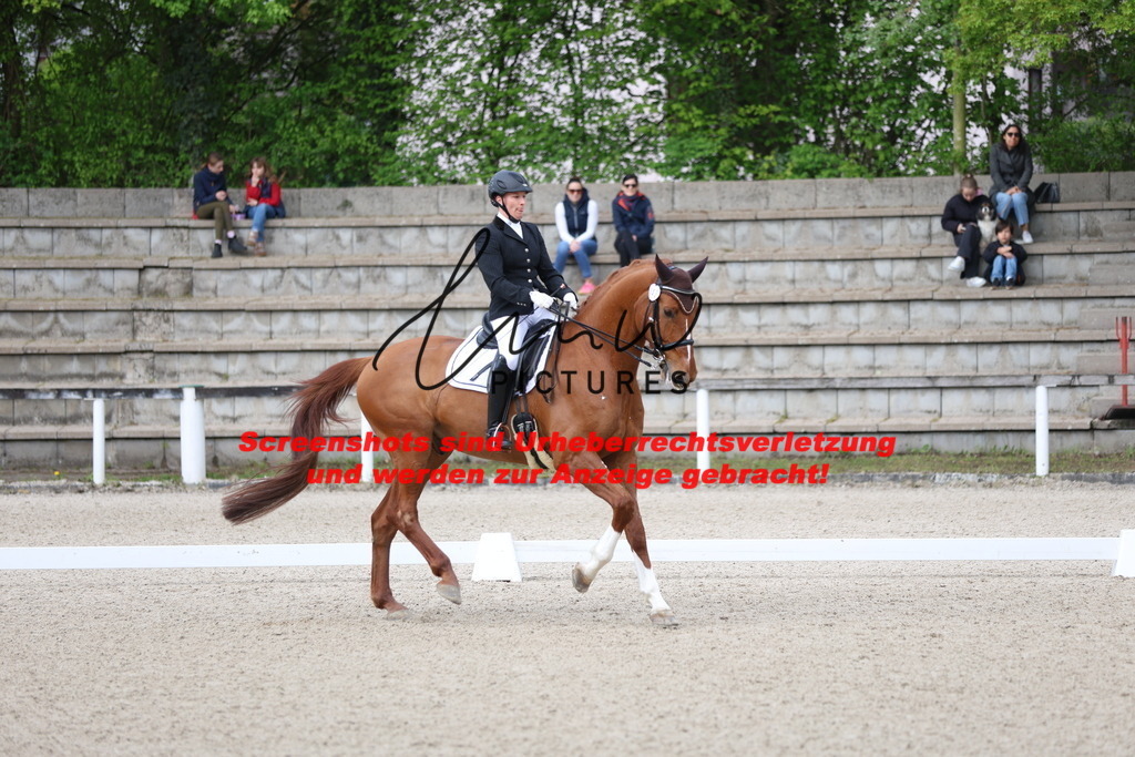 A40A4001 | lmwpictures - Realisiert mit Pictrs.com