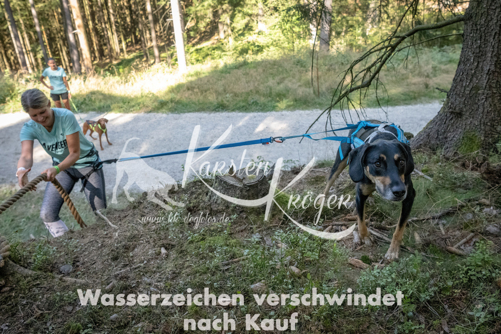 1205_ZZ93438 | kk-dogfotos