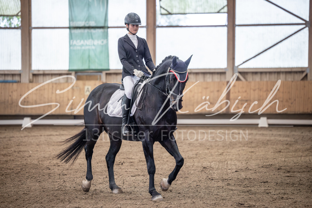 20251011-_3LI9907 | Tierfotografie Pferde, Hunde, Katzen, Haustiere.
Turnierfotografie Reitturniere, Reiten, Springreiten, Dressur in Hanau, dem Main-Kinzig-Kreis und dem Rhein-Main- Gebiet um Frankfurt