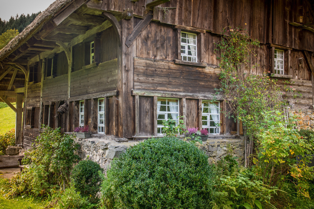Schwarzwaldmühle | Alte Mühle bei Oberprechtal im Schwarzwalld - Realisiert mit Pictrs.com