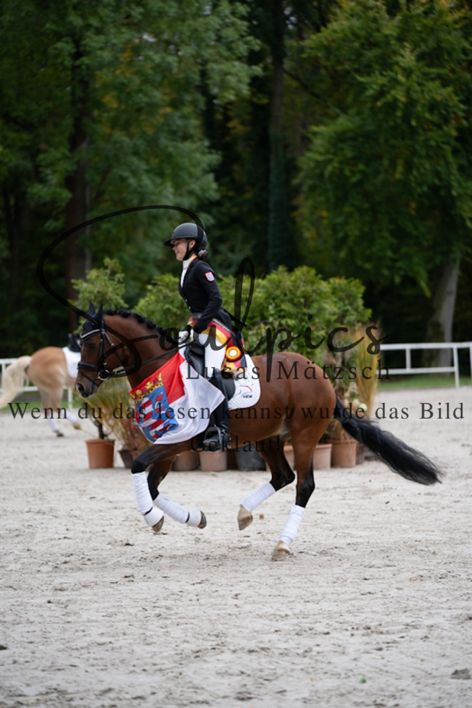 A7V01261 | Pferdefotograf