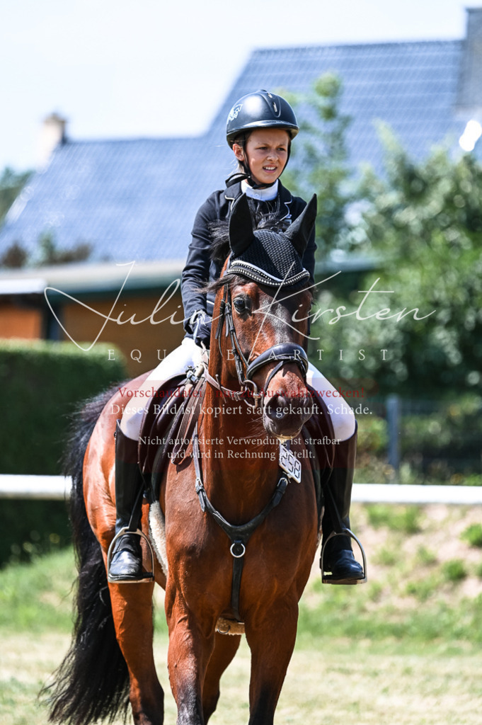 DSC_9873 | Pferde- und Turnierfotografie in Westsachsen. Pferdeportraits, Auftragszeichnungen und intuitive Kunst.