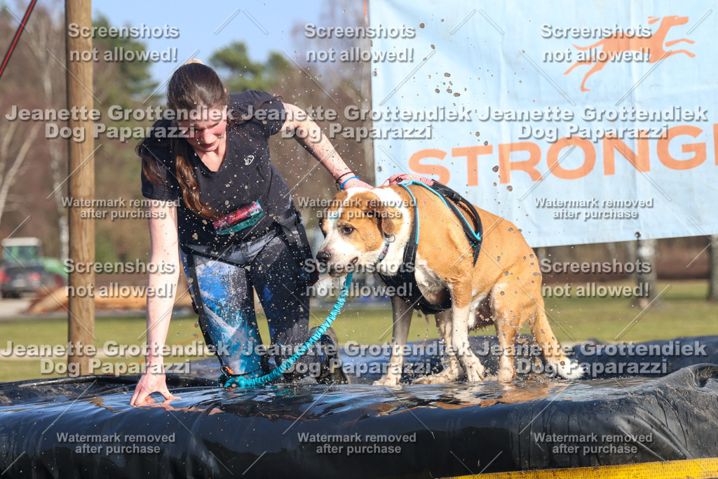 Dog Paparazzi - Strongdog North Mrz26-3260 | Dog Paparazzi Jeanette Grottendiek Fotografie & Videografie - Realisiert mit Pictrs.com