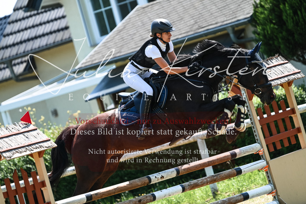 DSC_0293 | Pferde- und Turnierfotografie in Westsachsen. Pferdeportraits, Auftragszeichnungen und intuitive Kunst.