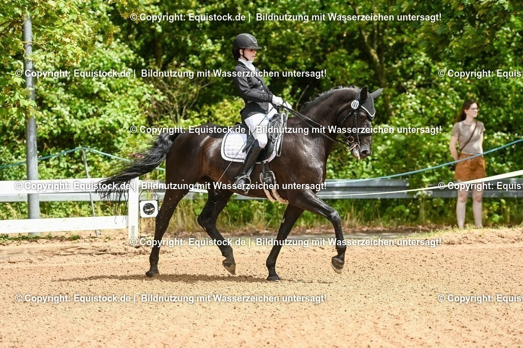 20230716_01_Dressurprüfung Kl.M_0016 | equistock