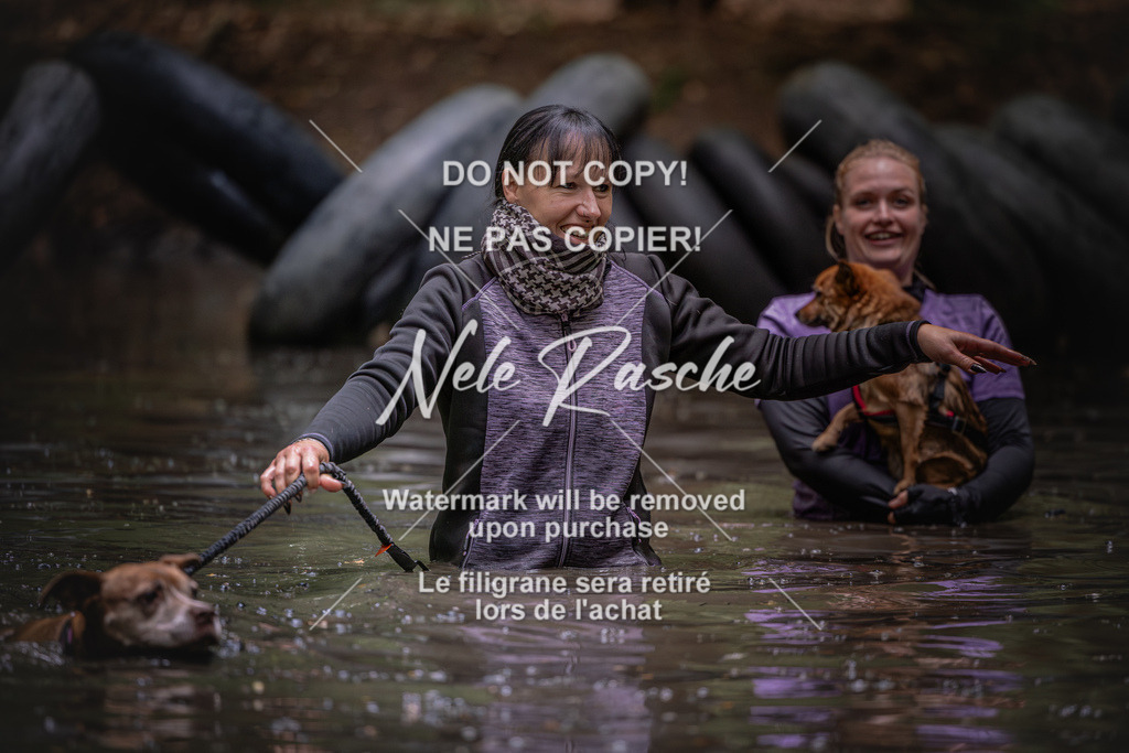 nelerasche_SaWingst1400-1500_99 | nelerasche