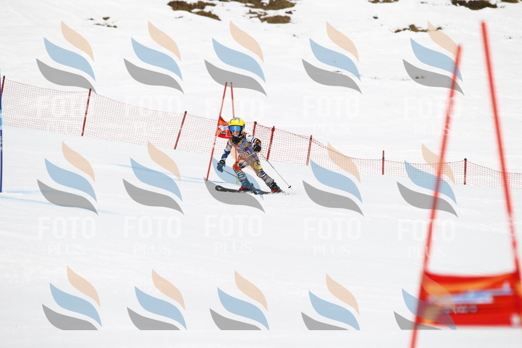 _U3G6748 | holidayphoto