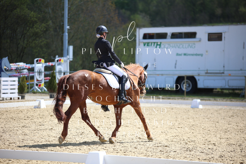 IMGT1829 | pl-fotografie