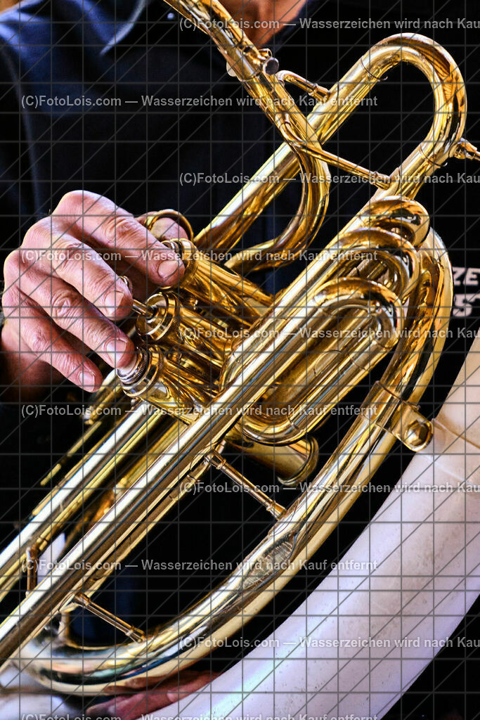 ALP1485_TdoA-NOe_SteinSkulpturen_Sousaphon_Teufel Gerhard | (C)FotoLois.com, Alois Spandl, NÖ-Tage der offenen Ateliers, STEINSKULPTUREN von Maria HEINRICH, präsentiert im rothschild'schen Glassalon - am Sonntag mit musikalischer Untermalung von LIUNZE BRASS - sozusagen 'Das klingende offene Atelier der Steinskulpturen' in Langau/Maierhöfen, So 16. Oktober 2022.