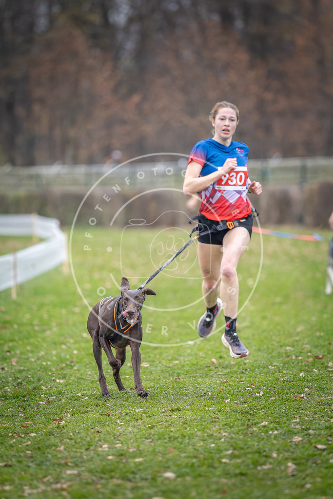 CaniXpix_DV3A7164 | Hundefotografie, Tierfotograf, Pfotenfotografie, Fotoshooting Hund, Hunde Portrait, Hundesport, Hundeportraits, Heideshooting, Hunde, Sportfotograf, Hundefotograf, Turnierhundsport, THS,  - Realisiert mit Pictrs.com