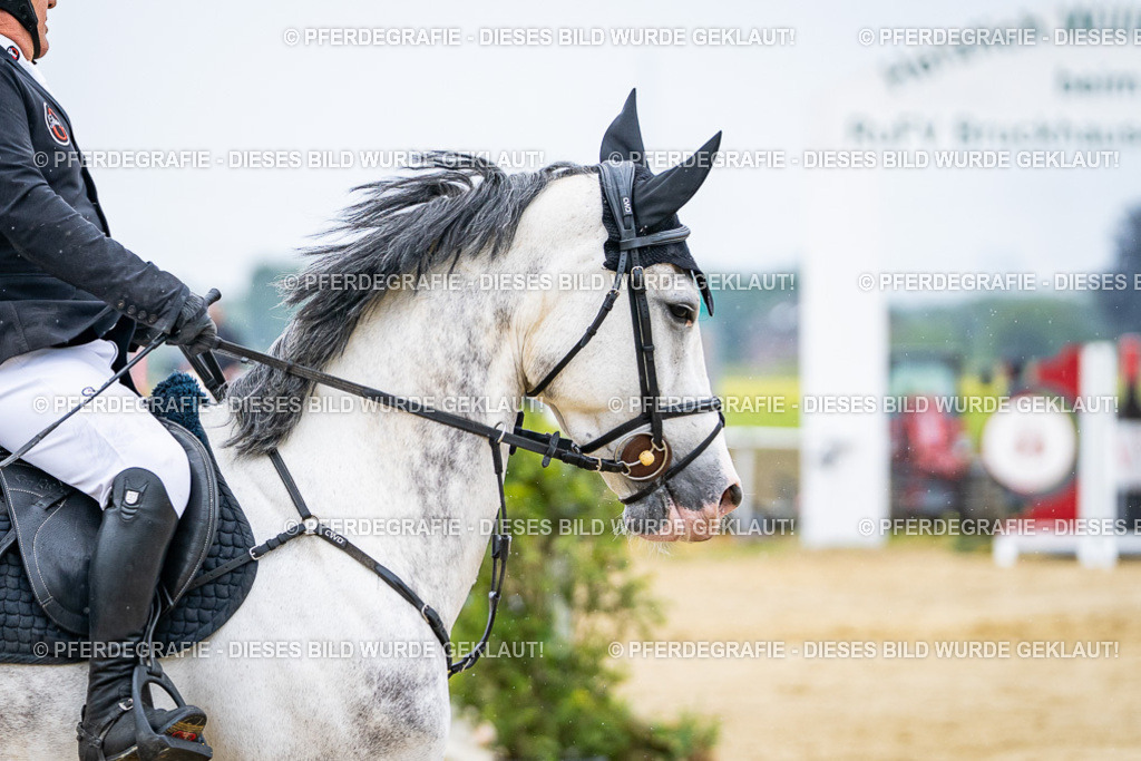 DSC08393 | Pferdegrafie