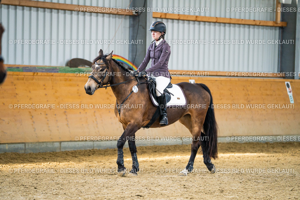 DSC01125 | Pferdegrafie