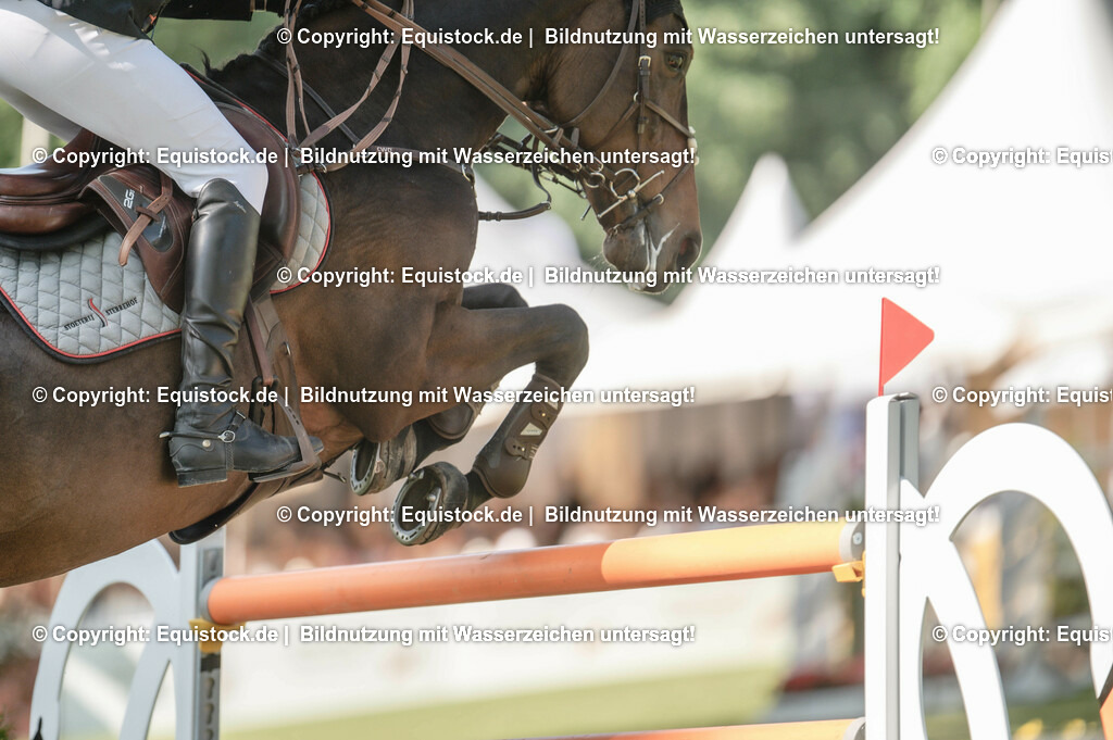 DSC_1177 | equistock