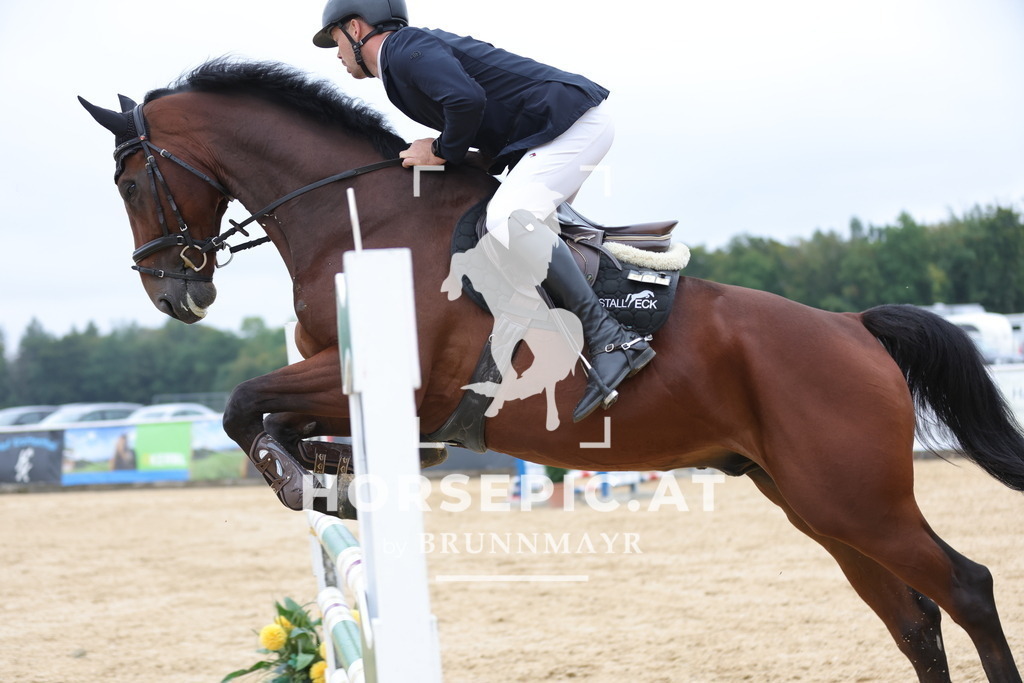 0P6A7016 | Willkommen bei Brunnmayr - Design & Fotografie – Ihrem Spezialisten für Reitturniere und Pferdeveranstaltungen in Oberösterreich, Salzburg und Bayern! Seit über 17 Jahren sind wir leidenschaftlich dabei.