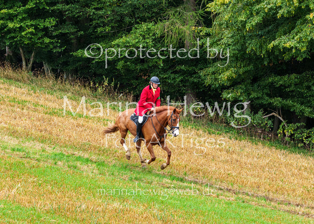 Jagd Kletkamp 26-02875_MarinaHewig | Fotografie, FotoArt, PferdesportArt, Pferdesportfotografie, Landschaftsfotografie, Reisefotografie, Reise, Pferde - Realisiert mit Pictrs.com