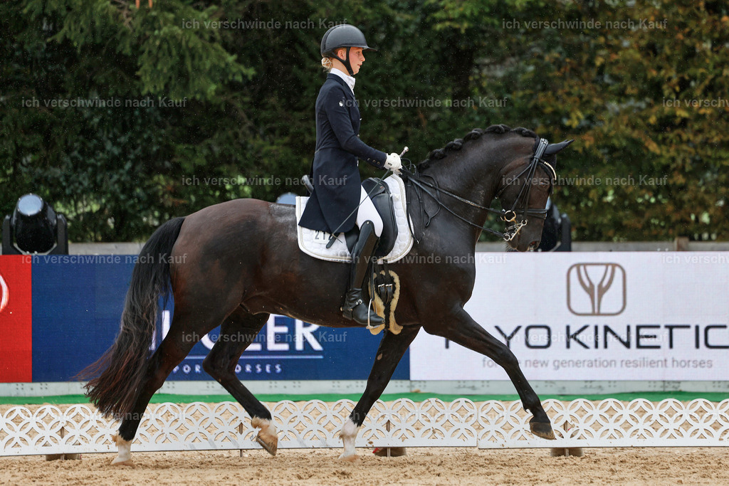 8_1-212-Klasse S_  -StoibPH-3924 | working equitationturnier fotograf videograf stoibphotography marixx film working equitation deutschland reitsport turnierfotografie eventfotografie equestrian events