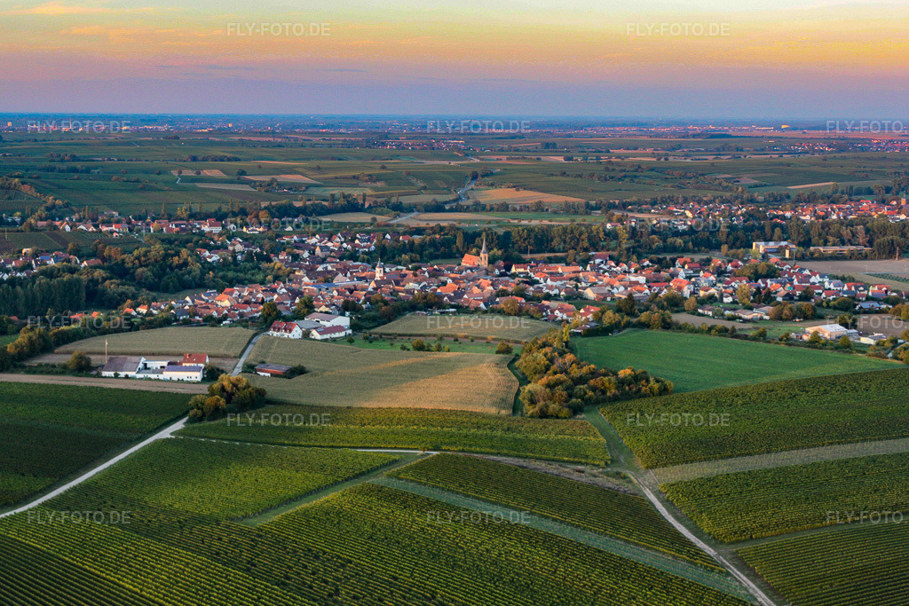Luftbild: Ortsansicht von Süden im Ortsteil Ingenheim in Billigheim-Ingenheim im Bundesland Rheinland-Pfalz in Deutschland. Foto: IMG_21292.jpg vom 23.09.2009 durch Werner Riehm/FLY-FOTO.de