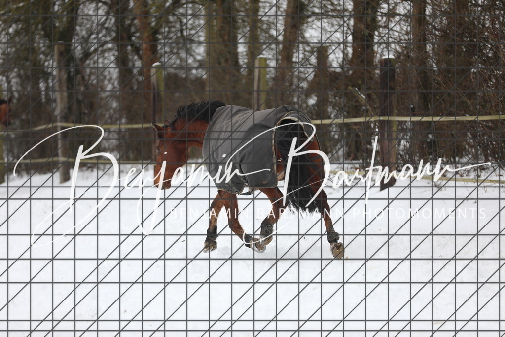 AZ2A3353 | Benjamin Bartmann Photomoments