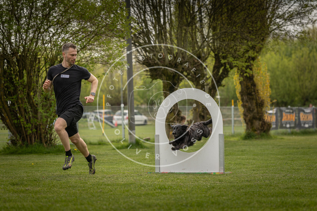 Pfotenfotografie_DV3A6617 | Hundefotografie, Tierfotograf, Pfotenfotografie, Fotoshooting Hund, Hunde Portrait, Hundesport, Hundeportraits, Heideshooting, Hunde, Sportfotograf, Hundefotograf, Turnierhundsport, THS,  - Realisiert mit Pictrs.com