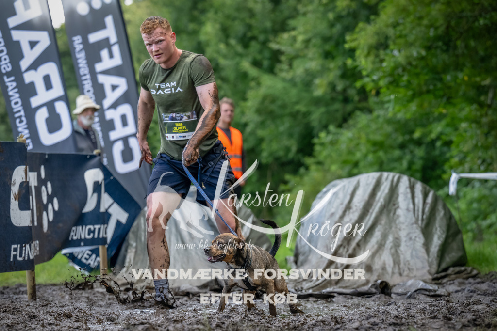 1152_ZZ94670-Bearbeitet | kk-dogfotos