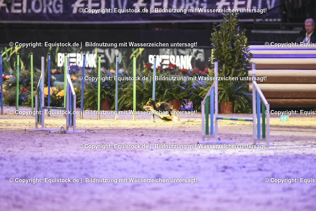 20231115_Dog-Agility_0170_TOMsPiC | Foto: Thomas Hartig