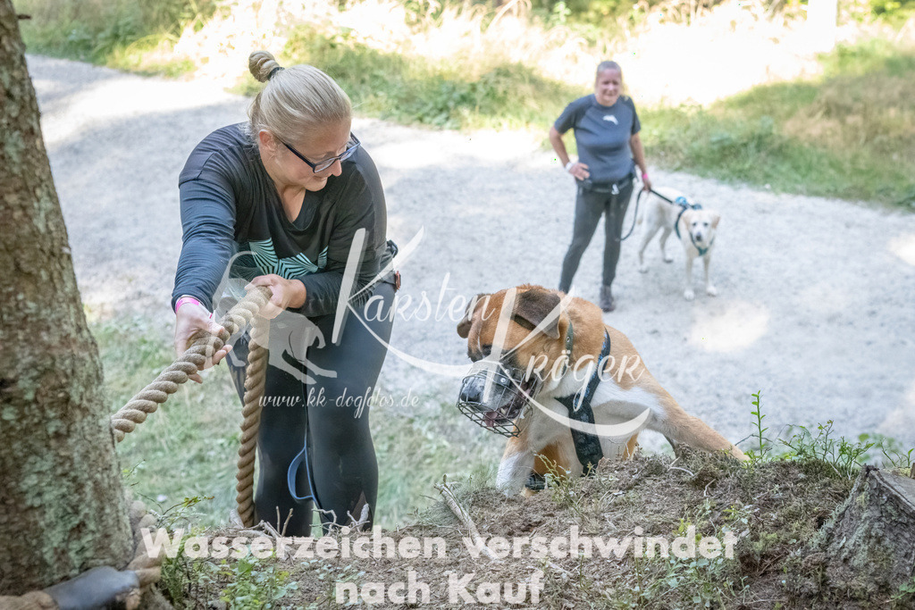 1201_ZZ93038 | kk-dogfotos
