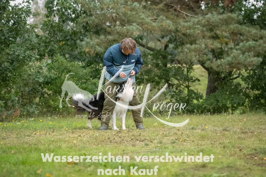 1231_ZZ91225-2-Bearbeitet | kk-dogfotos