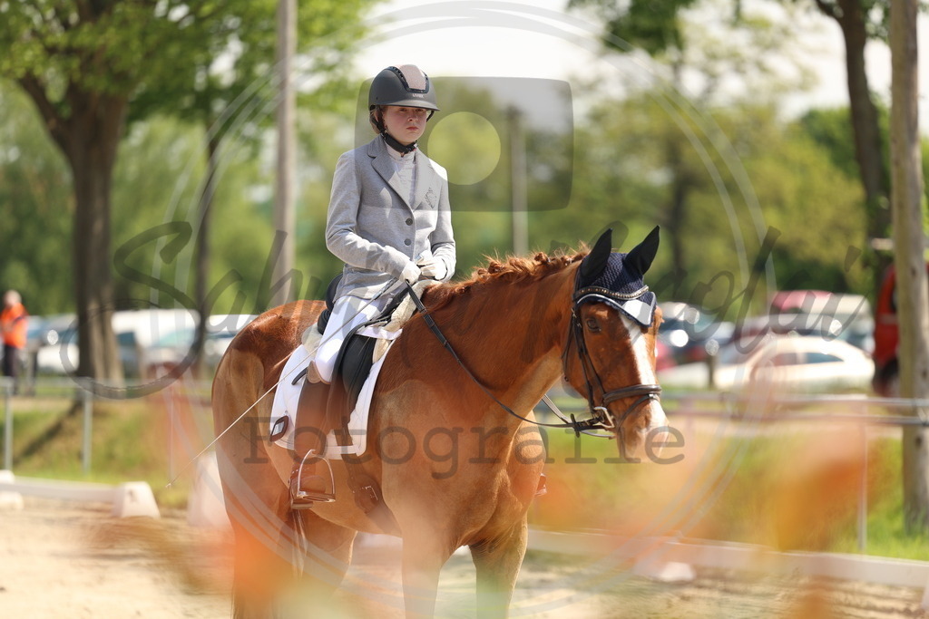 994A7189 | sabrinanicolaifotografie - Realisiert mit Pictrs.com