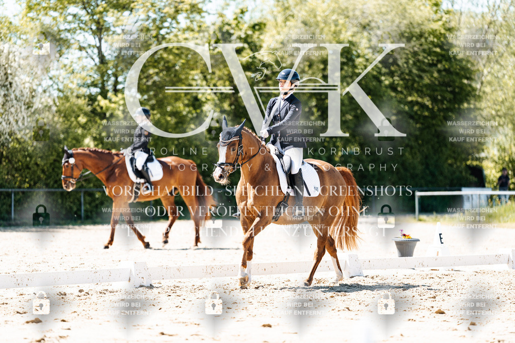 CK905685 | Turnierfotografie Pferdefotografie Trier Rheinland-Pfalz Pferdesport Reitsport Tierfotografie Sportfotografie Pferdevideo Pferdevideografie Equestrianvideography equestrianphotography  - Realisiert mit Pictrs.com