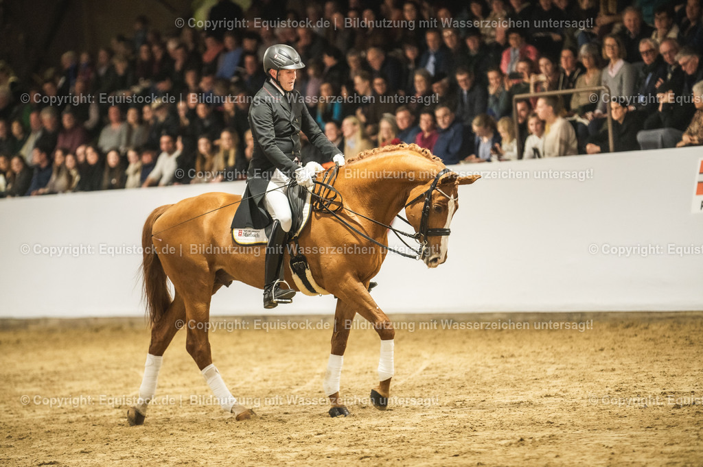 20240302_Hengstvorstellung_Marbach_TOMsPiC_0925 | equistock