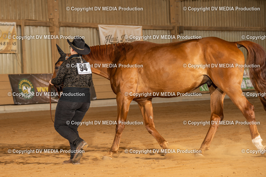 NID02344 | dv-media-shop - Realisiert mit Pictrs.com