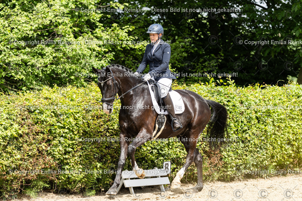 CL5A2190 | Emilia Reinking Fotografie - Realisiert mit Pictrs.com