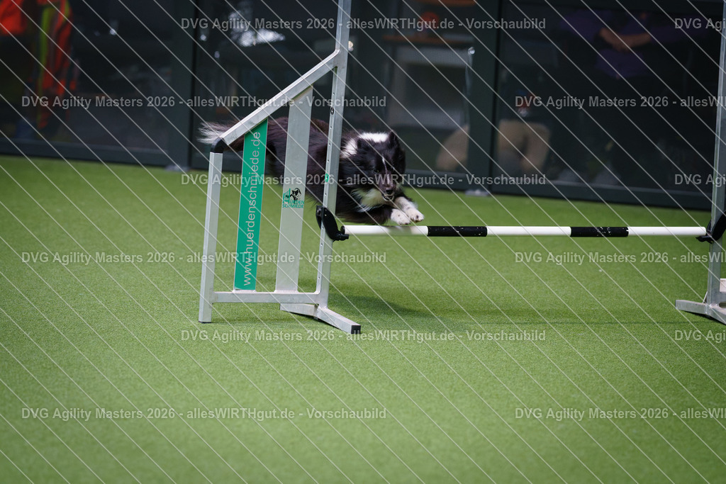 allesWIRTHgut_Tierfotografie-DVG_Agility_Masters_2026-12_37-7R508838 | Professionelle Tierfotografie in Mönchengladbach von Daniel Wirth (allesWIRTHgut). Liebevolle & natürliche Bilder von Hunden & Katzen für unvergessliche Erinnerungen.