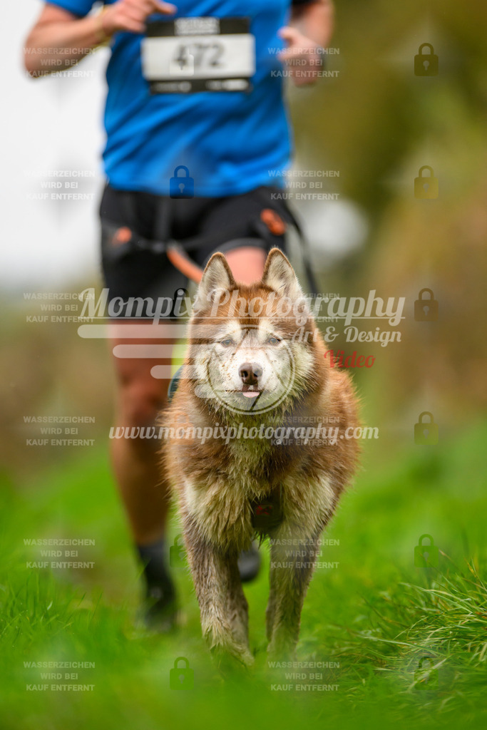 MompixPhotography_20TSB_E8_Run-32 | PayLife