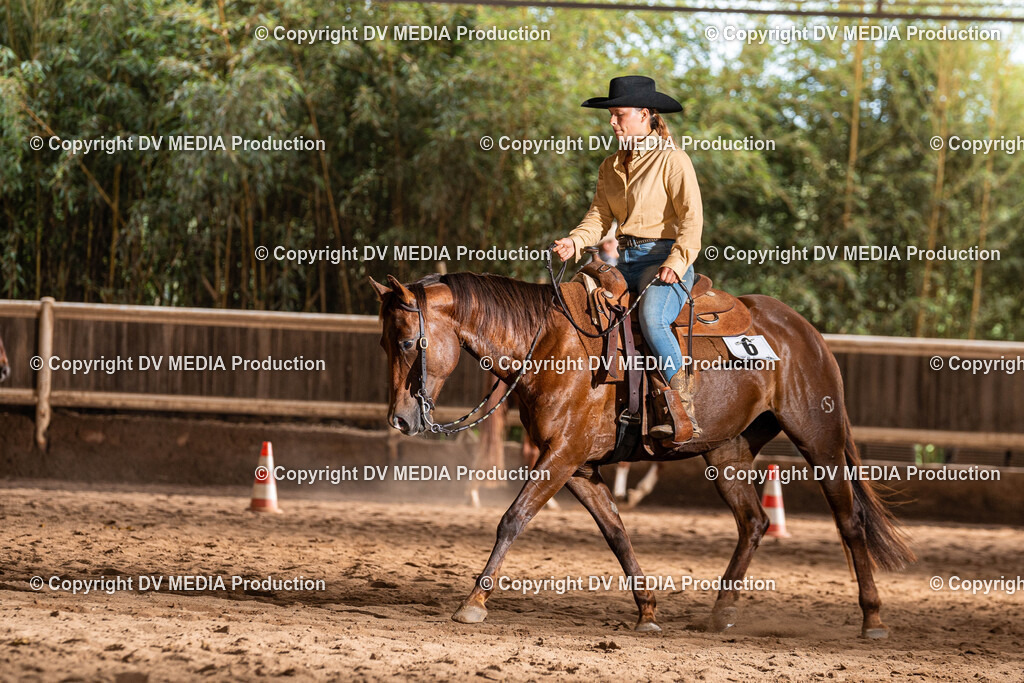 Erbach Tag 1-1104 | dv-media-shop - Realisiert mit Pictrs.com