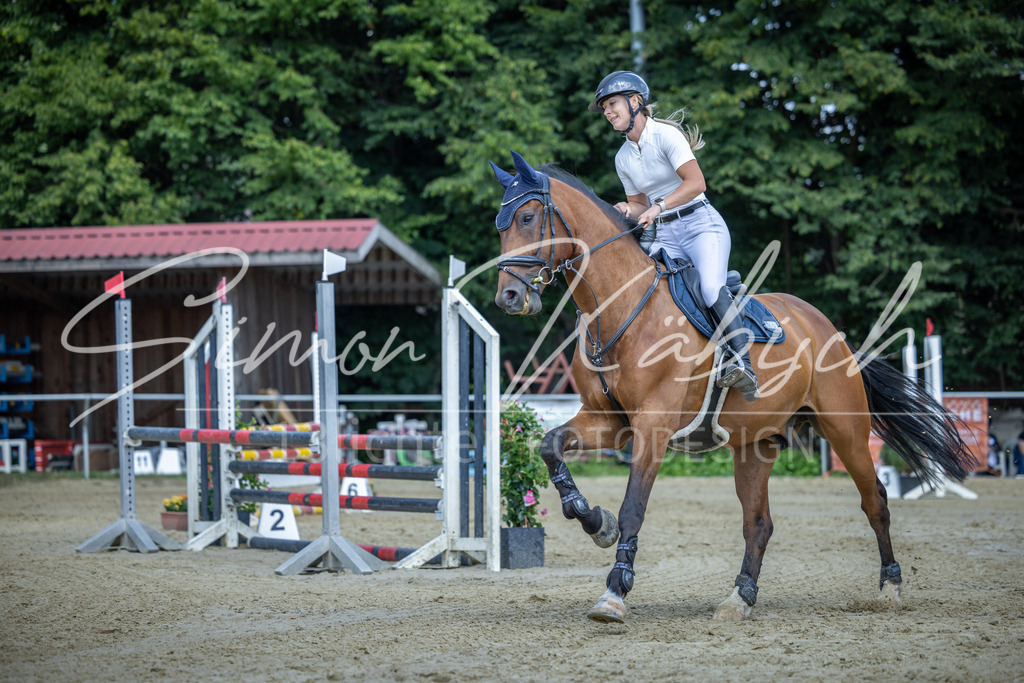 20260704-_3LI0169 | Tierfotografie Pferde, Hunde, Katzen, Haustiere.
Turnierfotografie Reitturniere, Reiten, Springreiten, Dressur in Hanau, dem Main-Kinzig-Kreis und dem Rhein-Main- Gebiet um Frankfurt