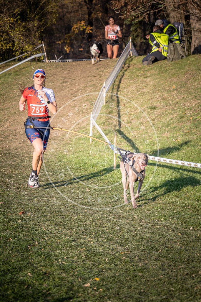 CaniXpix_0L8A9982 | Hundefotografie, Tierfotograf, Pfotenfotografie, Fotoshooting Hund, Hunde Portrait, Hundesport, Hundeportraits, Heideshooting, Hunde, Sportfotograf, Hundefotograf, Turnierhundsport, THS,  - Realisiert mit Pictrs.com