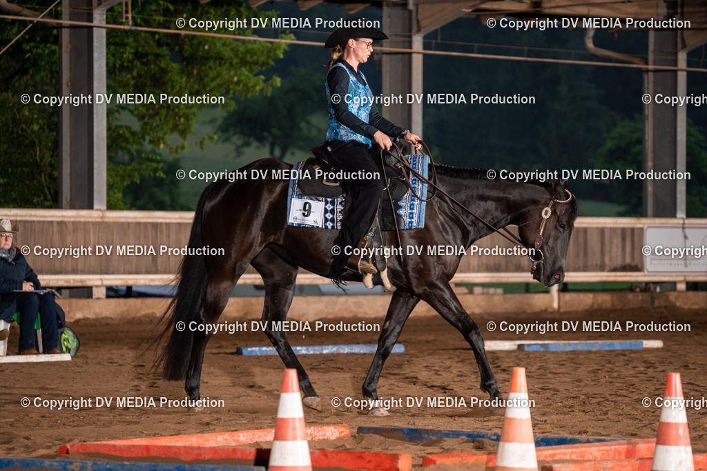 Erbach Tag 2-78 | dv-media-shop - Realisiert mit Pictrs.com