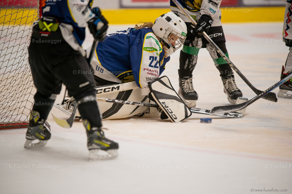 DSC_4242 | "Fussifoto.com – Ihr Ansprechpartner für hochwertige Fotografie! Entdecken Sie kreative Bilder und professionelle Dienstleistungen. Kontaktieren Sie uns für Ihre Projekte!"