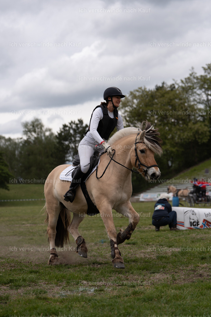 PI26_show_Jan_Picutures7C_06147.jpg | working equitationturnier fotograf videograf stoibphotography marixx film working equitation deutschland reitsport turnierfotografie eventfotografie equestrian events