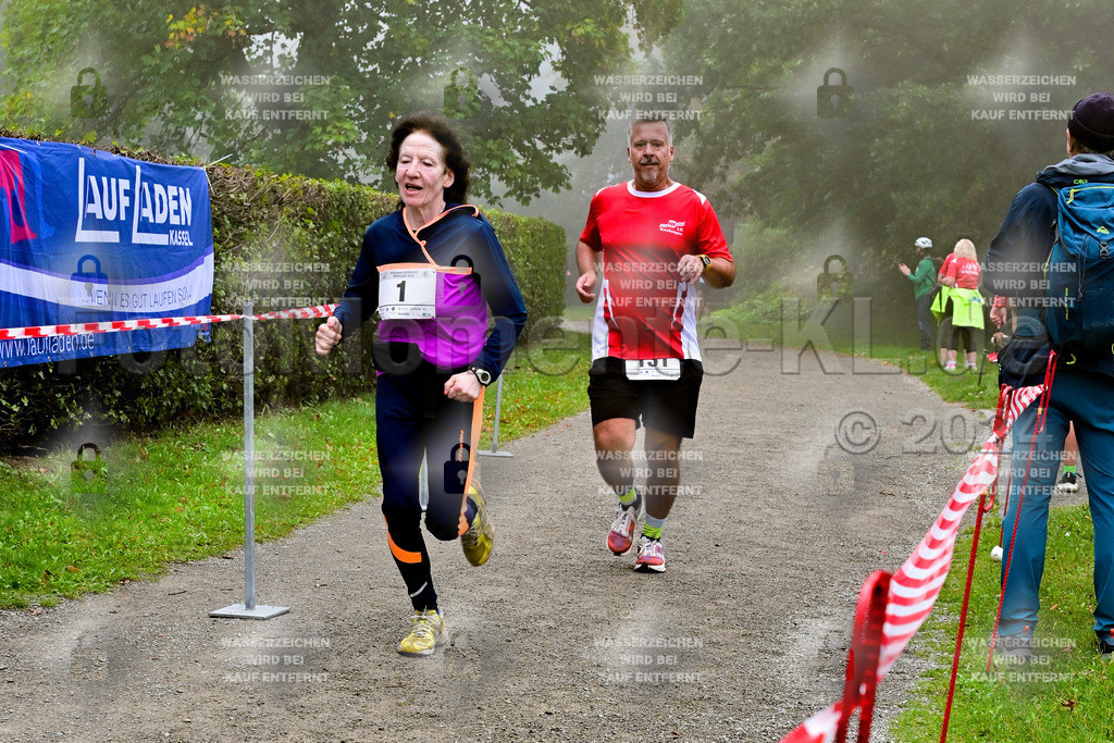 Z8N_2169 | la-psv - Realisiert mit Pictrs.com